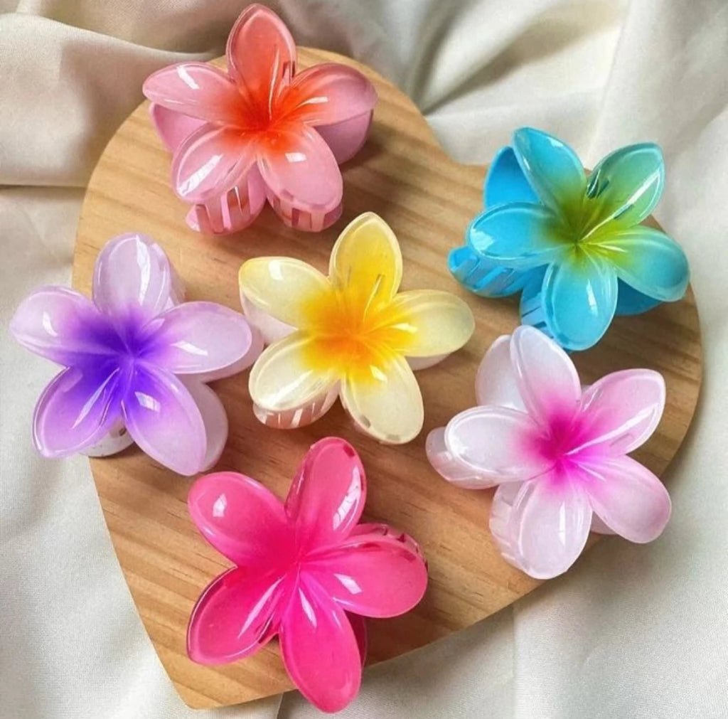 Presilha de Cabelo Flor- Cores Variadas